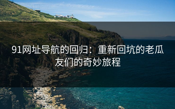 91网址导航的回归：重新回坑的老瓜友们的奇妙旅程