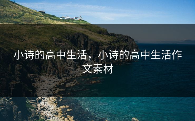 小诗的高中生活，小诗的高中生活作文素材